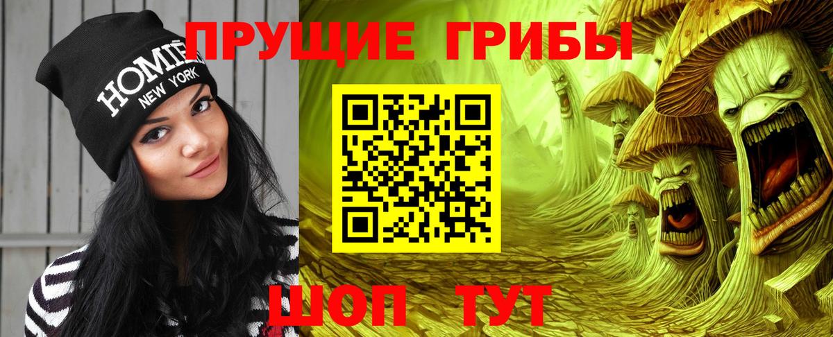Кольчугино  Галлюциногенные грибы Magic Shrooms  Вход с VPN 